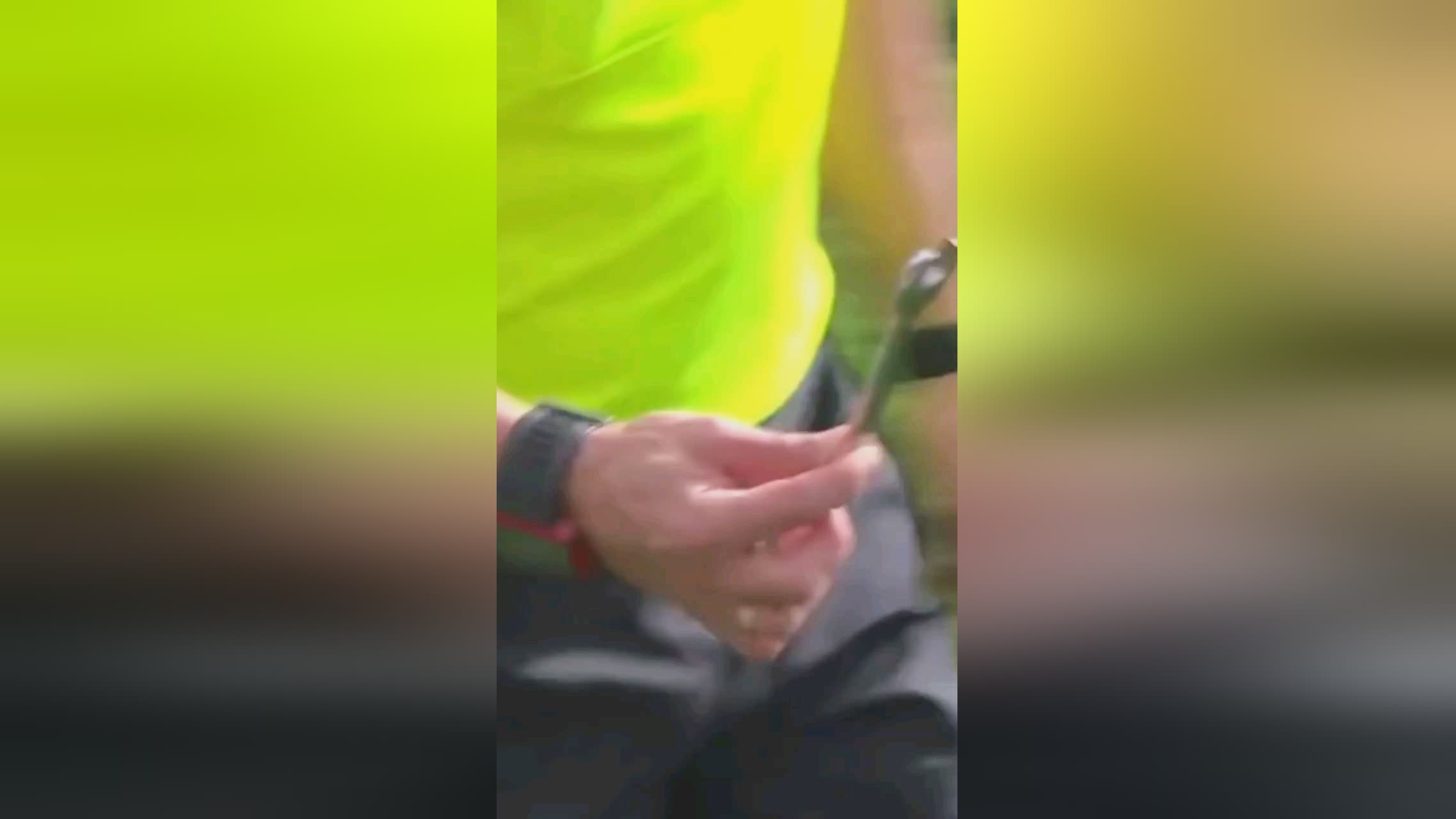 心的努
