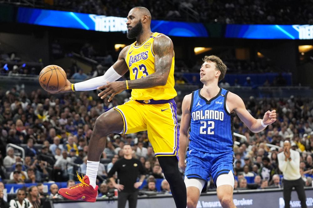 或政治倾向 或政治倾向