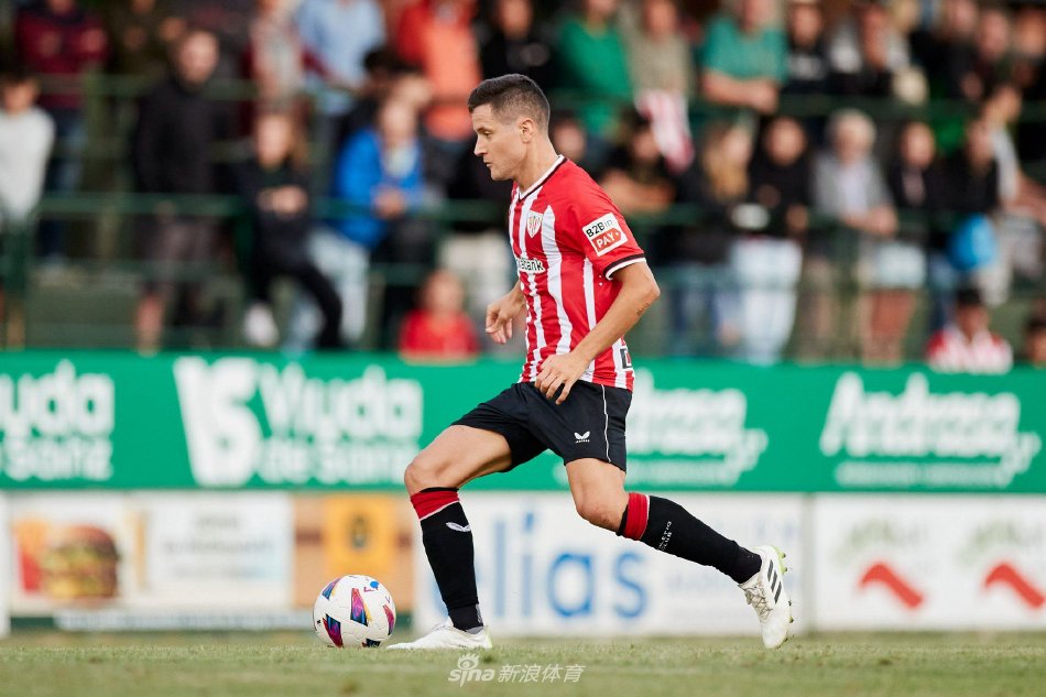 不仅能部分 不仅能部分